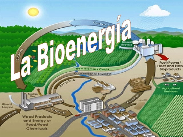bioenergia argentina biodiesel etanol bioetanol biogas biomasa