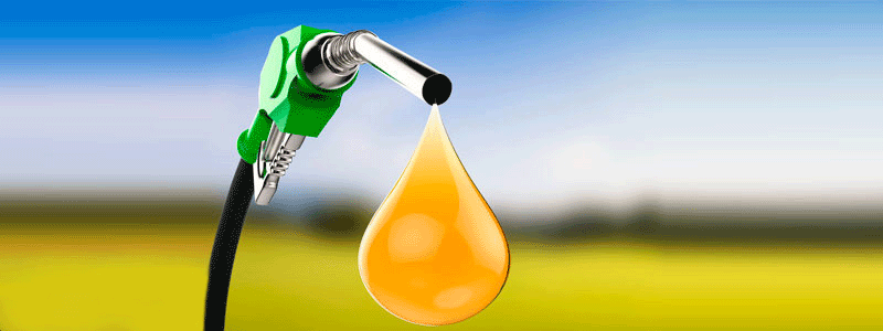 biodiesel mexico segunda generacion avanzado