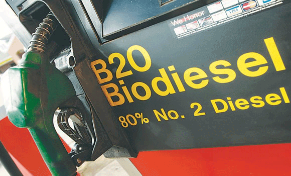 retenciones soja biodiesel exportaciones