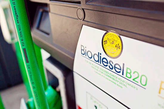 biodiesel b20 biocombustibles