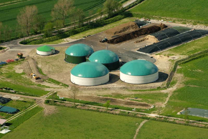 biomasa biogas argentina