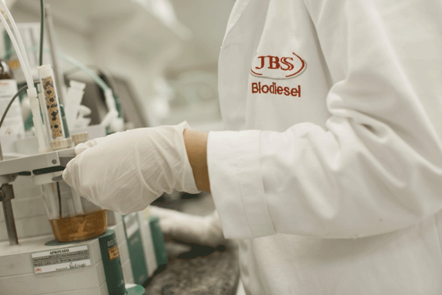 jbs biodiesel brasil