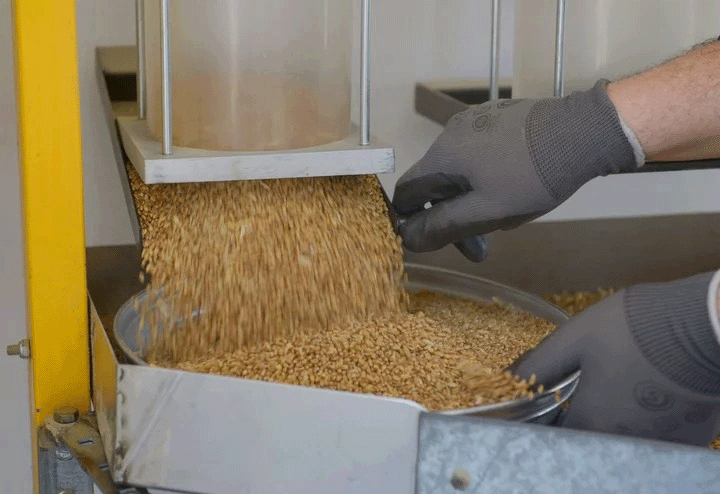 expeller-soybean-argentina