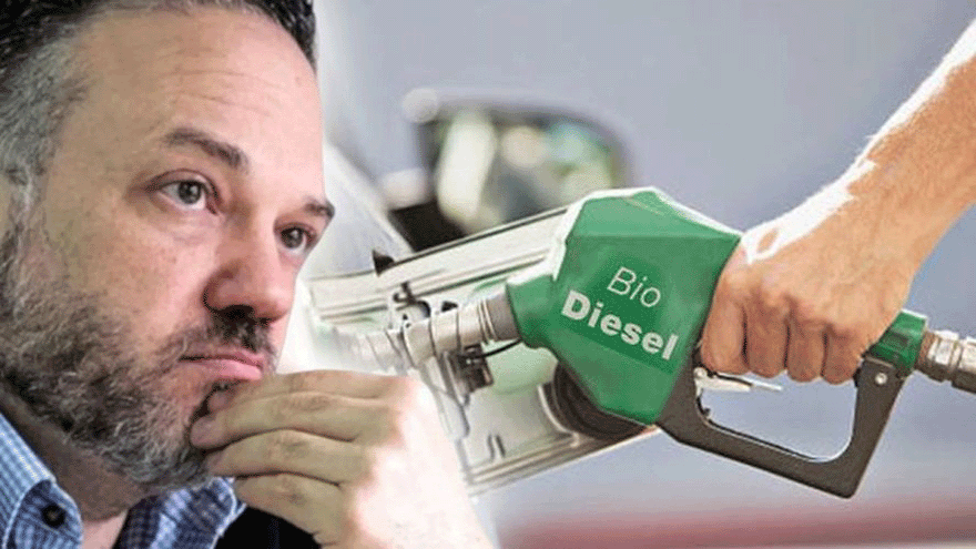 biodiesel kulfas