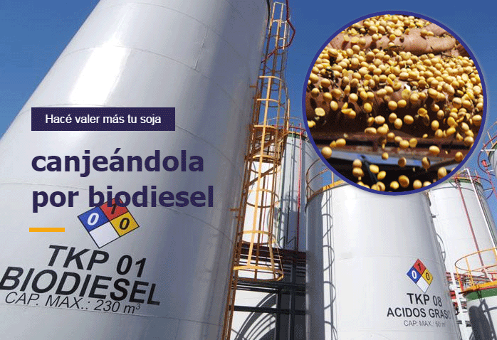 canje-biodiesel-soja