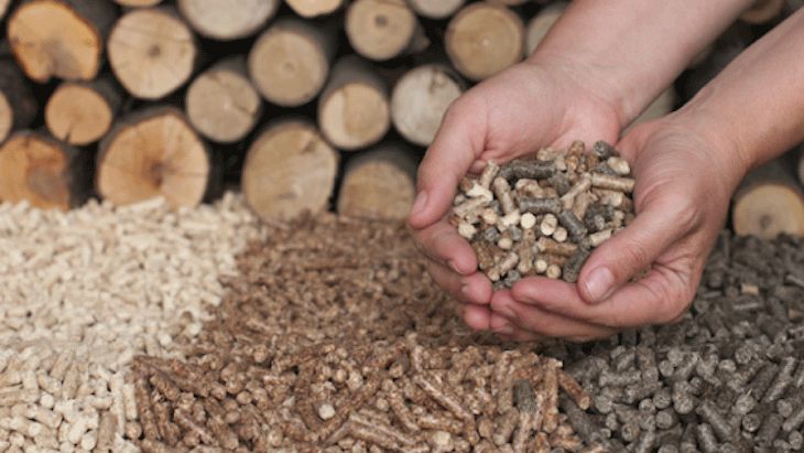 biomasa-spain-bioenergia