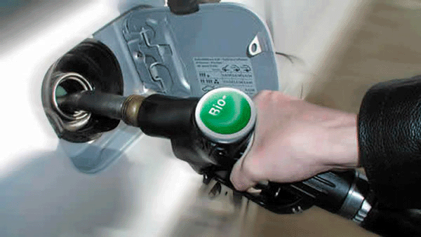 biodiesel-prorroga-ley