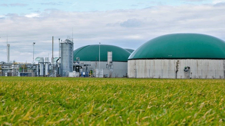 biometano biogas argentina