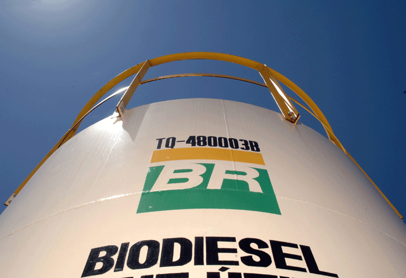 biodiesel brasil